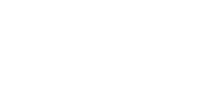 AMV_LOGO_SITE