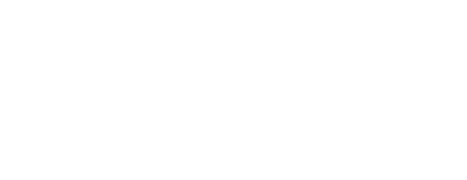 DELIVERYPNEUS_LOGO_SITE