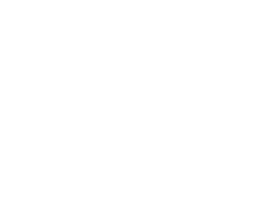 LOGO SSO SITE